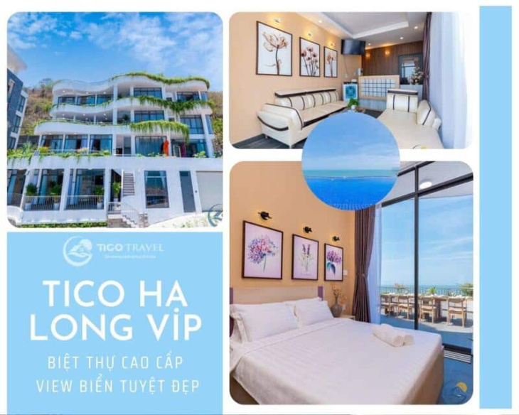 khách sạn, top 10 villa vũng tàu giá rẻ gần biển có hồ bơi siêu xịn