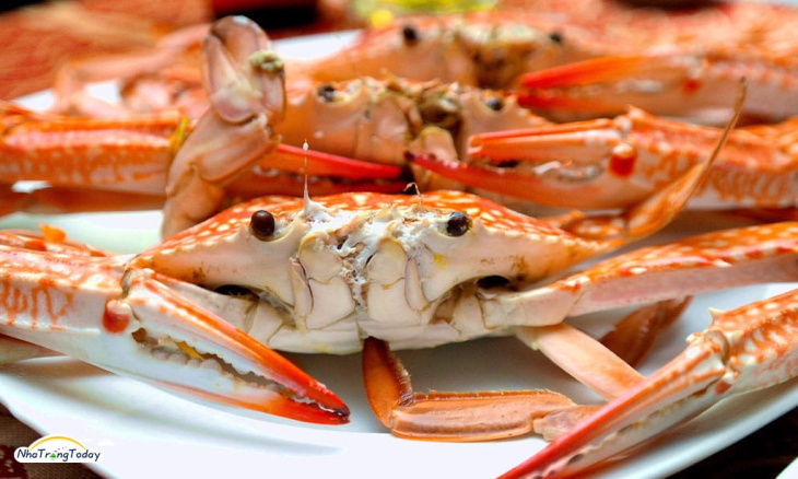 ẩm thực, top 14 quán hải sản ở nha trang siêu ngon và đông khách