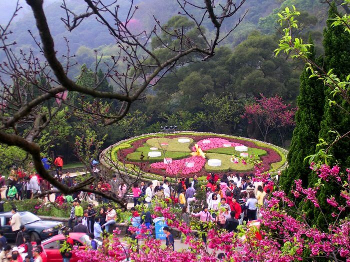 công viên đài loan, duong minh son park, yangmingshan park, công viên quốc gia dương minh sơn – điểm đến du lịch ở đài loan