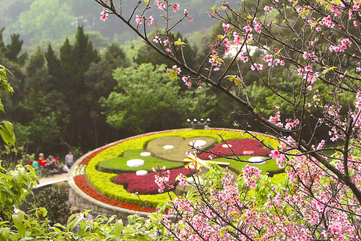 công viên đài loan, duong minh son park, yangmingshan park, công viên quốc gia dương minh sơn – điểm đến du lịch ở đài loan
