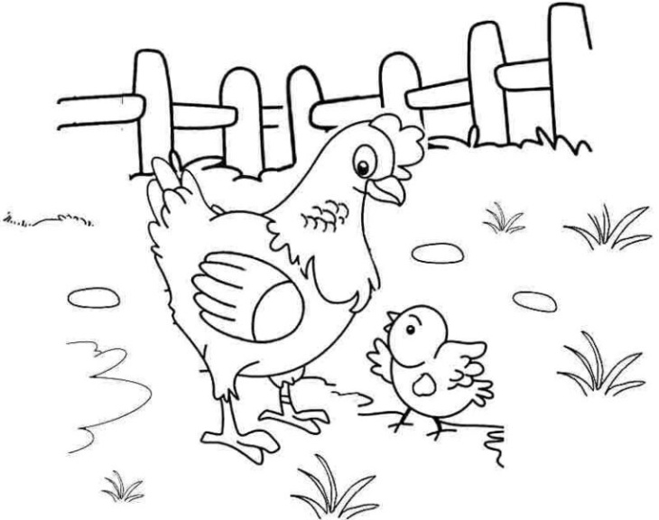 homestay, 50+ hình ảnh con gà mái đẹp, hoạt hình full hd  mới nhất 2023