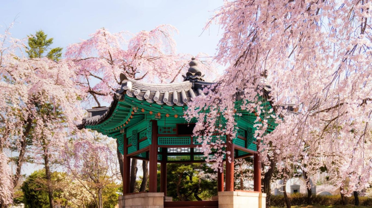 Không thể bỏ qua 4 địa điểm tận hưởng mùa yêu tại Hàn Quốc, Khám Phá