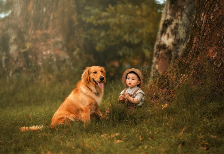 chụp ảnh, top 20 hình ảnh đẹp – aphoto award 2022