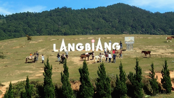 homestay, review langbiang- bảng giá vé langbiang mới nhất |blog homestay