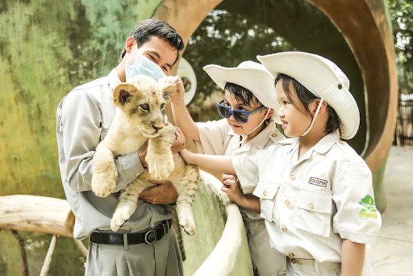 khách sạn, [ review & cập nhật ] giá vé vinpearl safari phú quốc – vườn thú bán hoang dã lớn nhất việt nam