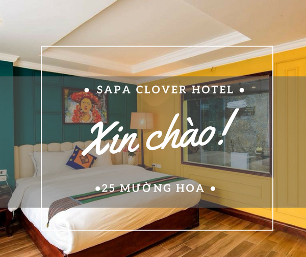 khách sạn, “quên lối về” tại khách sạn sapa clover hotel 3 sao