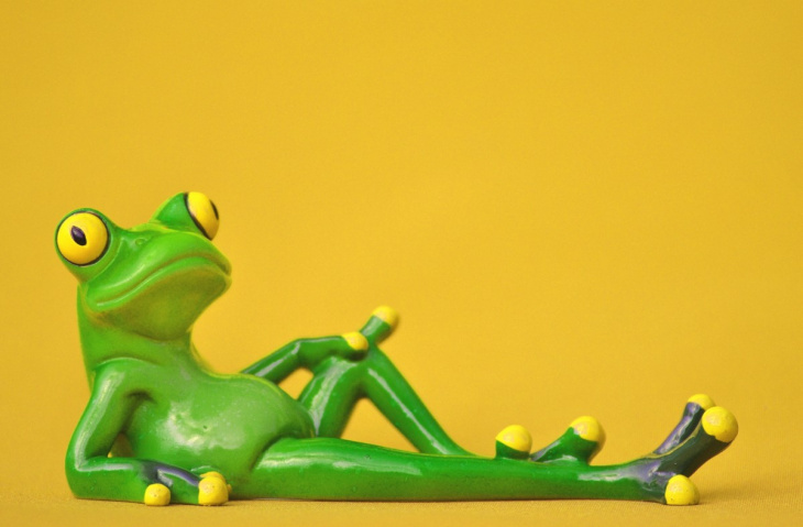 homestay, 101+ hình ảnh con ếch xanh đẹp, chế ảnh ếch hot hiện nay