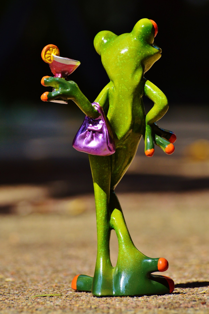Hình ảnh con ếch dễ thương PNG