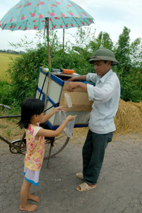 homestay, 100+ hình ảnh mùa hè dễ thương, sôi động, đẹp nhất