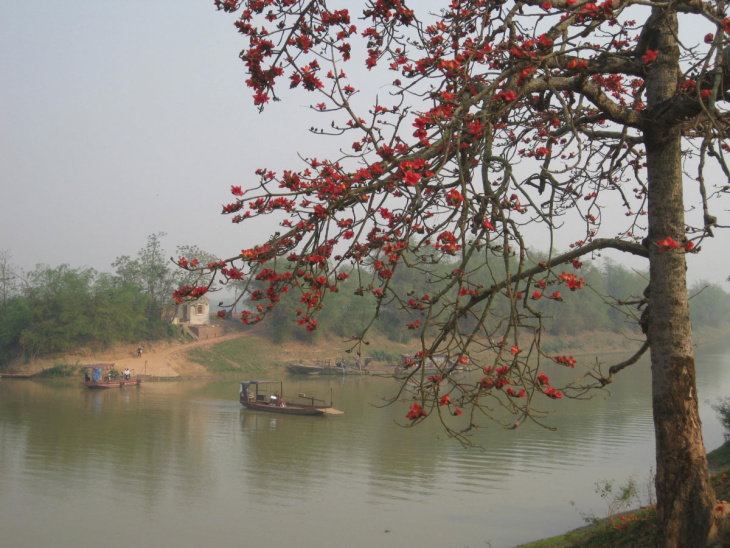 homestay, 100+ hình ảnh mùa hè dễ thương, sôi động, đẹp nhất