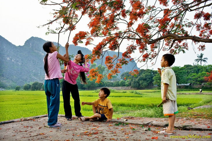 homestay, 100+ hình ảnh mùa hè dễ thương, sôi động, đẹp nhất