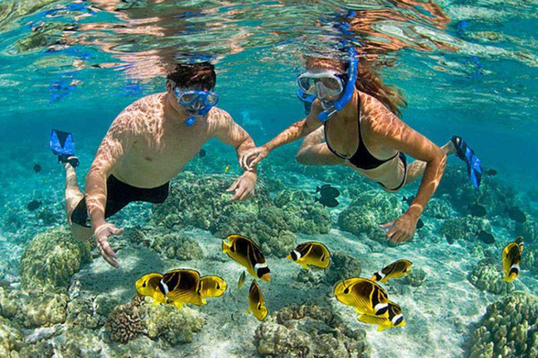 khám phá, trải nghiệm, [review & giá vé mới nhất] lặn ngắm san hô ở cù lao chàm – hóa thân thành “tiên cá” cùng blog homestay