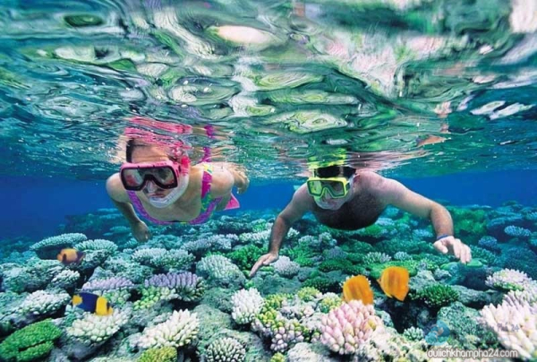 khám phá, trải nghiệm, [review & giá vé mới nhất] lặn ngắm san hô ở cù lao chàm – hóa thân thành “tiên cá” cùng blog homestay