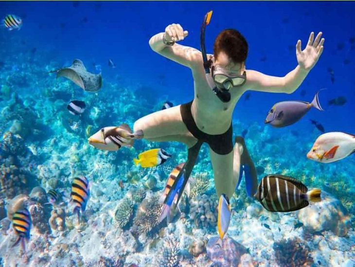 lặn san hô quy nhơn, khám phá, lặn san hô quy nhơn - trải nghiệm dịch vụ du lịch mới nổi