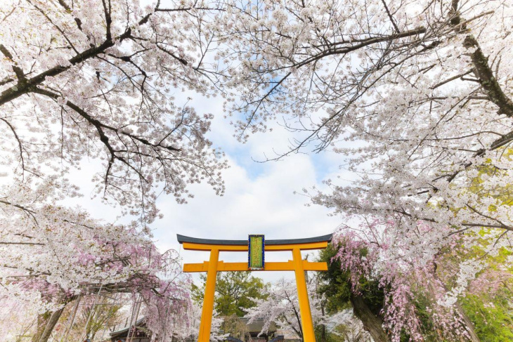 Những điều cần lưu ý khi du lịch Nhật Bản tự túc, Khám Phá