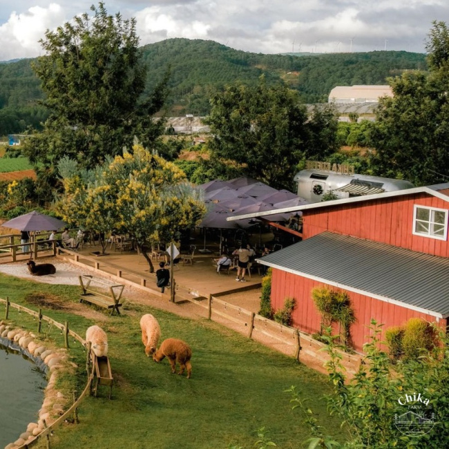chika farm – bức tranh sống động về một miền quê châu âu giữa lòng đà lạt