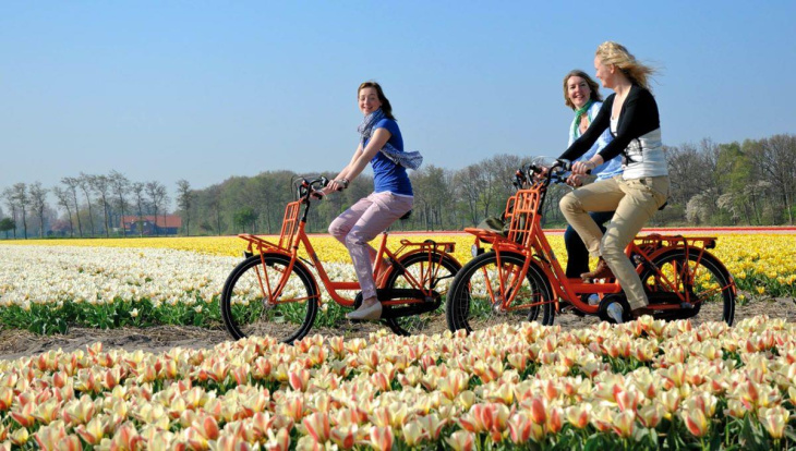 Mãn nhãn với lễ hội hoa Tulip lại xứ sở cổ tích Hà Lan, Khám Phá