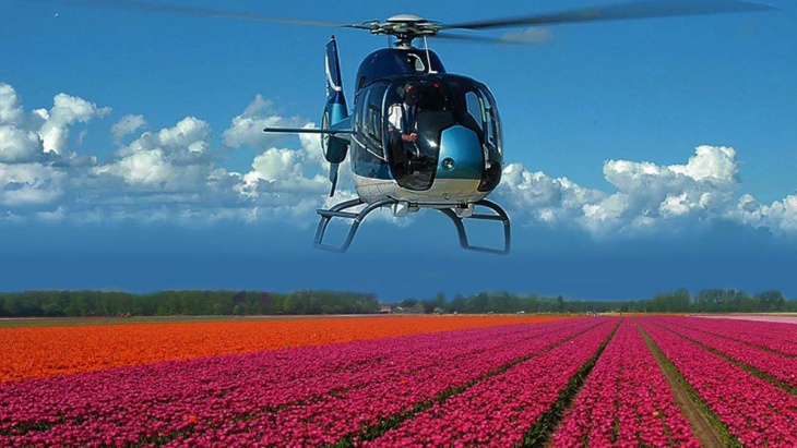 Mãn nhãn với lễ hội hoa Tulip lại xứ sở cổ tích Hà Lan, Khám Phá