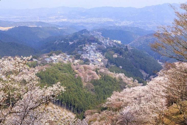 Kinh nghiệm đi tour du lịch Nhật Bản tháng 3 chi tiết 2023, Khám Phá