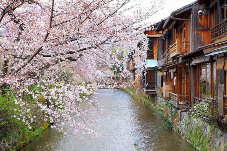 Kinh nghiệm đi tour du lịch Nhật Bản tháng 3 chi tiết 2023, Khám Phá