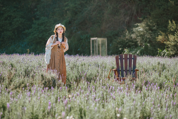 vườn hoa lavender túi thương nhớ đà lạt – điểm đến không thể lỡ mùa này