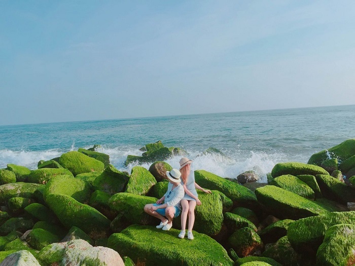 kỳ diệu những bãi biển rêu xanh phủ kín trên khắp thế giới
