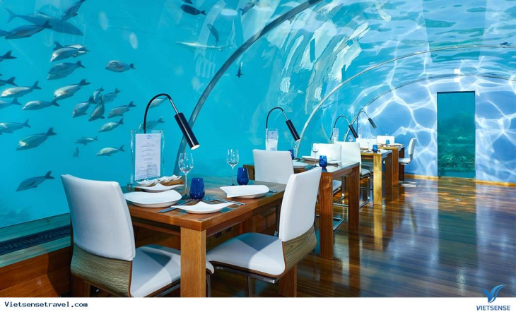 ithaa - nhà hàng dưới biển độc đáo tại maldives