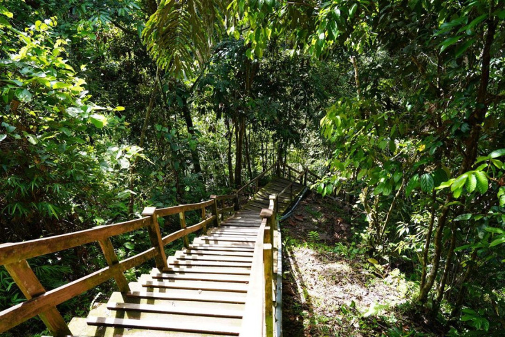 ăn uống, du lịch brunei, khách sạn brunei, ulu temburong, điểm đến, thế giới thiên nhiên hoang sơ ở công viên quốc gia ulu temburong