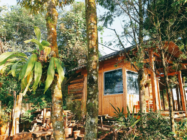 khám phá, trải nghiệm, “lục lọi” nhà trên đồi jungle homestay sapa