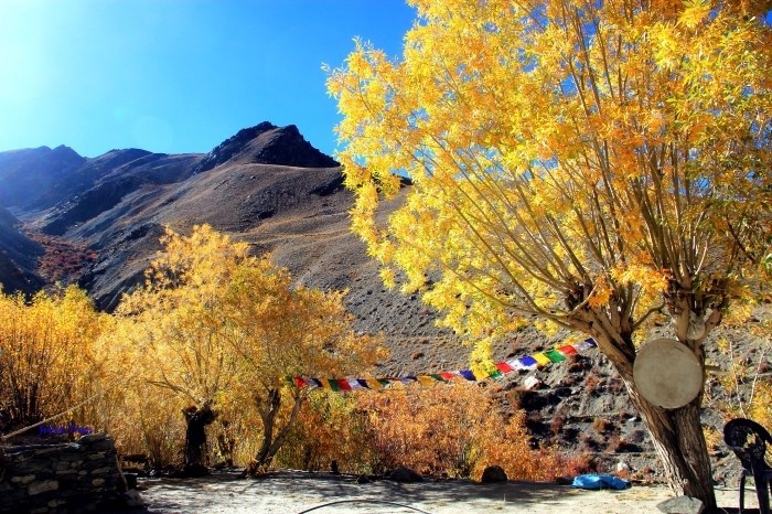 khám phá, trải nghiệm, sắc màu rực rỡ chốn thiên đường khi du lịch ladakh mùa thu