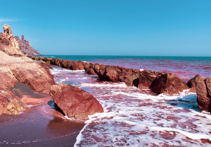 khám phá, biển đỏ - bờ biển độc lạ nhất hành tinh của ai cập