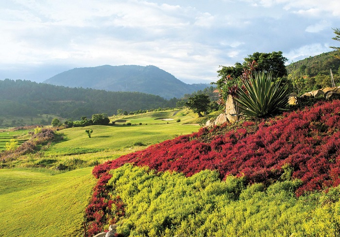 sân golf đà lạt 1200 – điểm đến đẳng cấp thế giới giữa lòng thành phố ngàn hoa