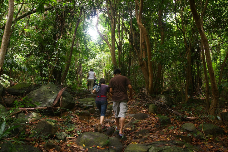 sở rẫy, vé máy bay, điểm đến, trekking xuyên rừng khám phá thế giới thiên nhiên ở sở rẫy côn đảo