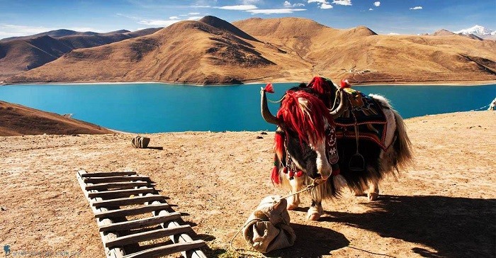 khám phá, trải nghiệm, du lịch nepal tây tạng - hành trình khám phá vùng đất thiêng