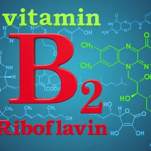 sức khỏe, dinh dưỡng, những thực phẩm bổ sung vitamin b2 – loại vitamin quan trọng đến bất ngờ
