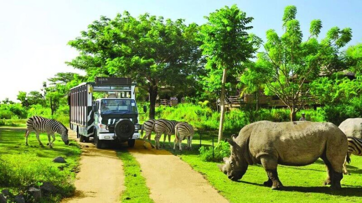 homestay, nhà đẹp, khám phá vinpearl safari phú quốc – khu vui chơi hot nhất 2023
