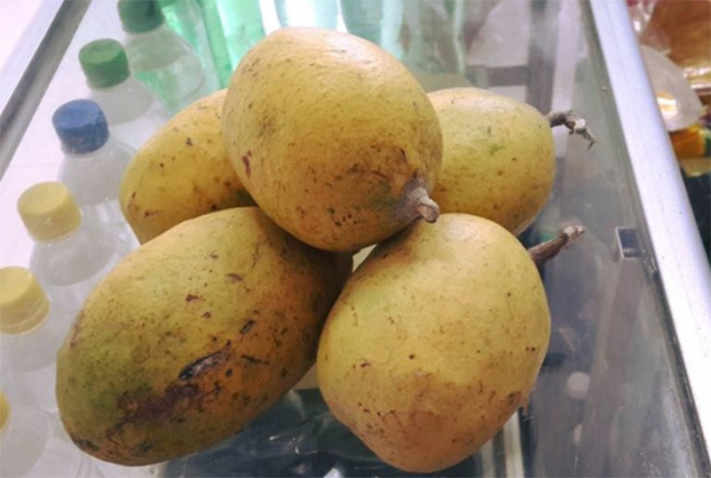 aglaia odorata, vietnamese people, the strange fruit 90% of vietnamese people don’t know the name of, is now a specialty displayed on the five-fruit tray on tet holiday
