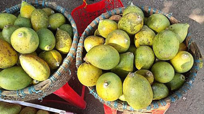 aglaia odorata, vietnamese people, the strange fruit 90% of vietnamese people don’t know the name of, is now a specialty displayed on the five-fruit tray on tet holiday