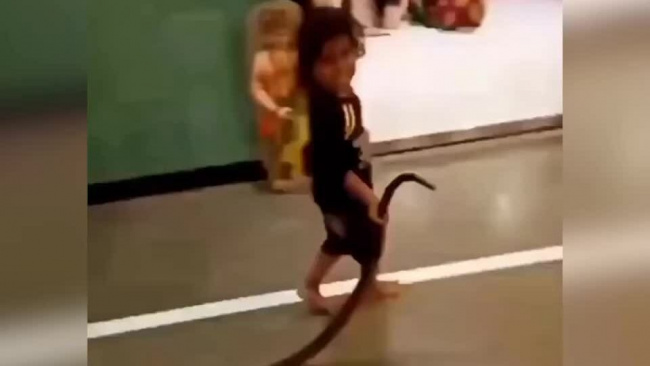 Con gái vác rắn đi chơi