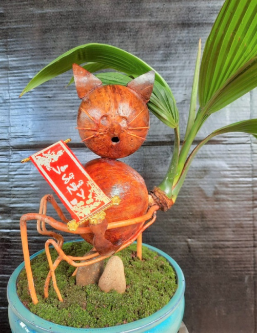 bonsai, bonsai coconut, lunar new year 2023, mini bonsai coconuts, fancy mini bonsai coconut attracts customers on the occasion of the lunar new year