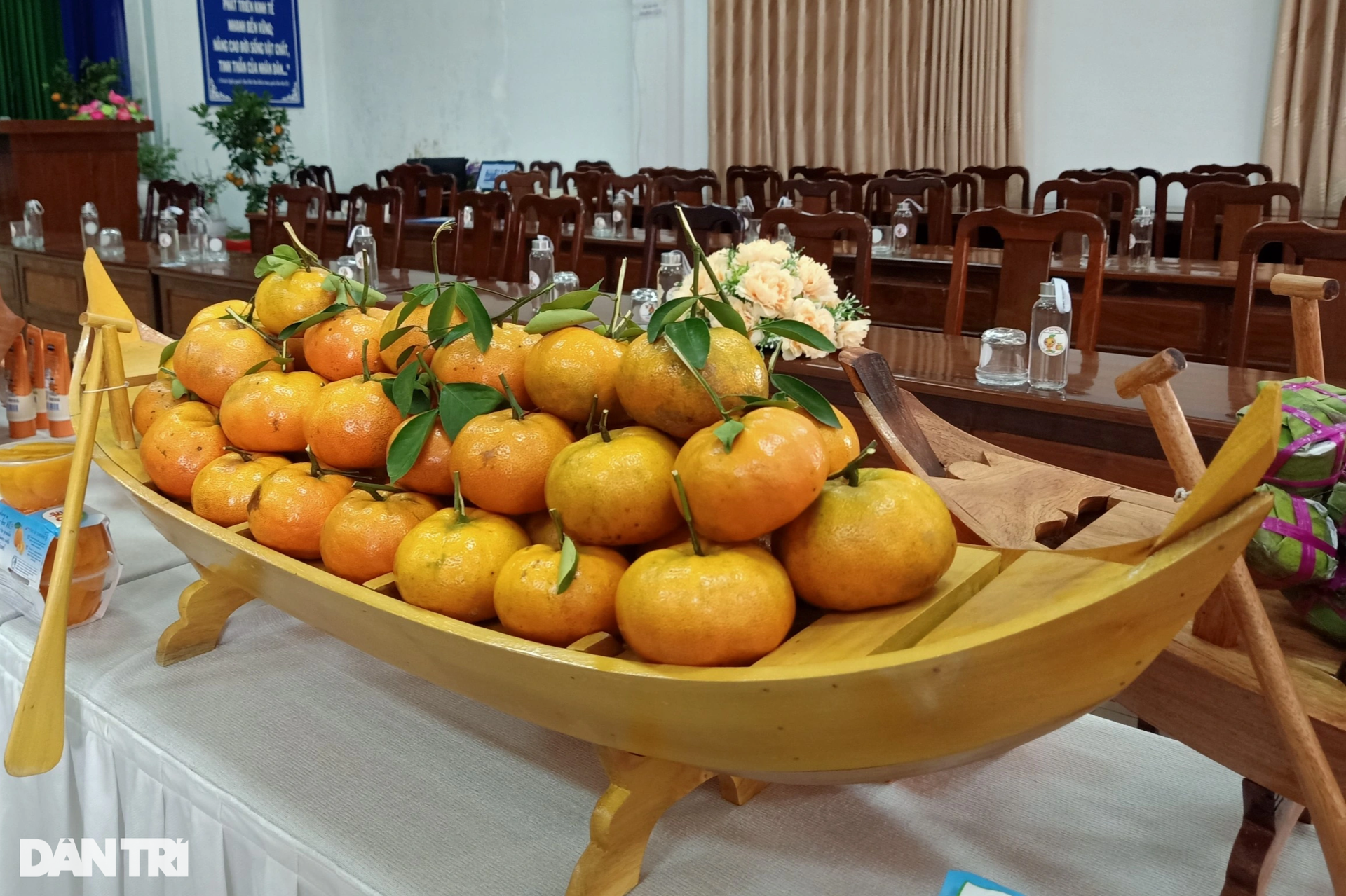 dong thap province, lai vung district, tangerine, “breaking into” tangerine orchards earns 50 times more than growing rice