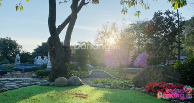 có một vườn nhật siêu đẹp – bình yên tại chùa long hoa