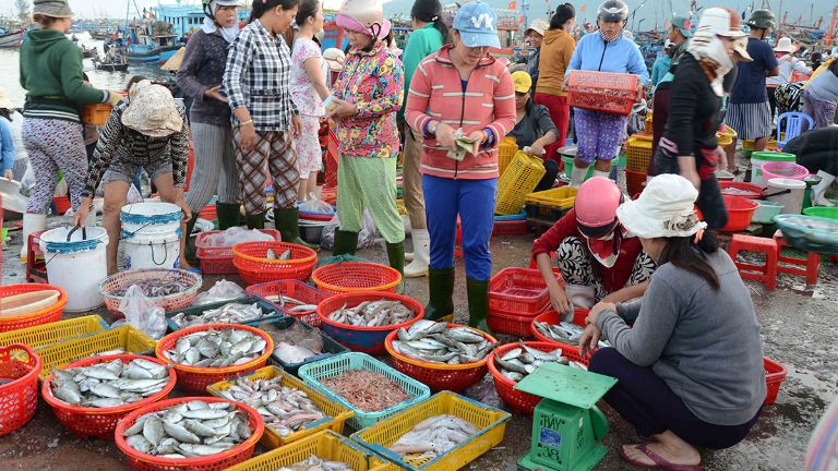 bật mí top 5 chợ hải sản đà nẵng tươi ngon giá rẻ