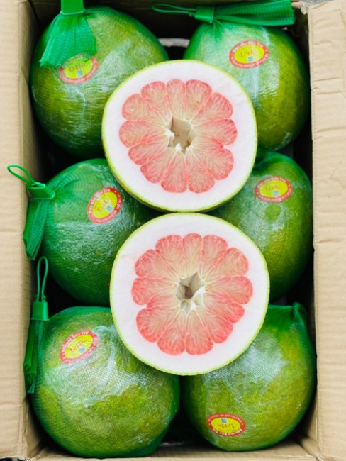 Top 9 Địa chỉ bán buôn trái cây giá tốt, chất lượng nhất tại Hà Nội