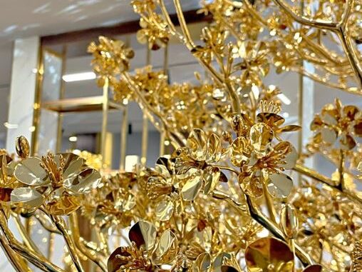 consultation, experience, gilded apricot tree, happy new year, setting a record, technology equipment, third generation, the owner of 2 gilded apricot trees worth 11 billion vnd has just set a vietnamese record: “i hope to contribute to honoring the traditional values ​​of the vietnamese new year”