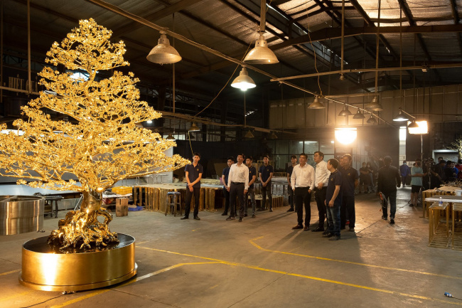 consultation, experience, gilded apricot tree, happy new year, setting a record, technology equipment, third generation, the owner of 2 gilded apricot trees worth 11 billion vnd has just set a vietnamese record: “i hope to contribute to honoring the traditional values ​​of the vietnamese new year”