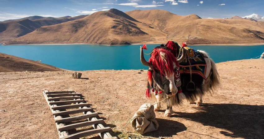 trung quốc, tây tạng trung quốc, du lịch trung quốc, du lịch tây tạng khám phá vùng đất huyền bí đầy mê hoặc