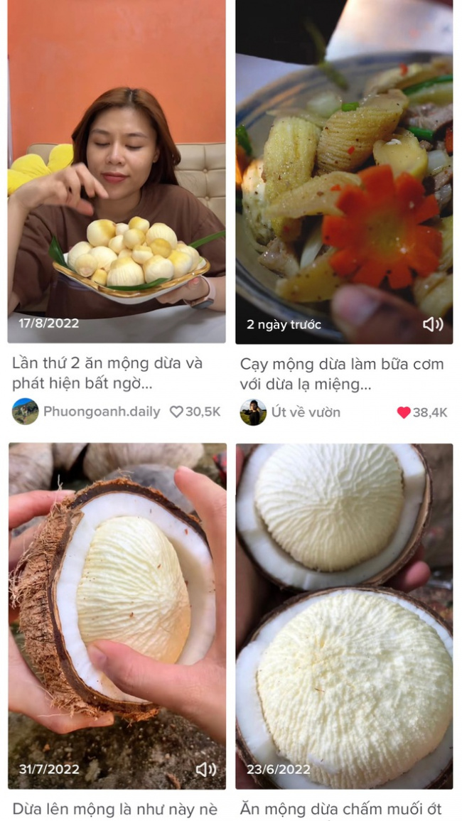 food, mekong delta, online community, online community fever, screenshot, unique, vietnamese youth, review the strange coconut dishes that are used to “stir” the online community in the past time