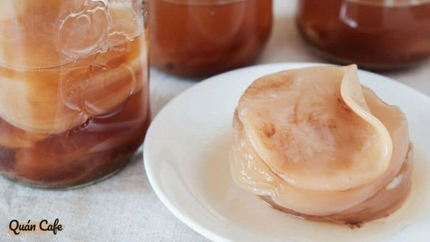 how to make kombucha: a step-by-step guide for your diy!