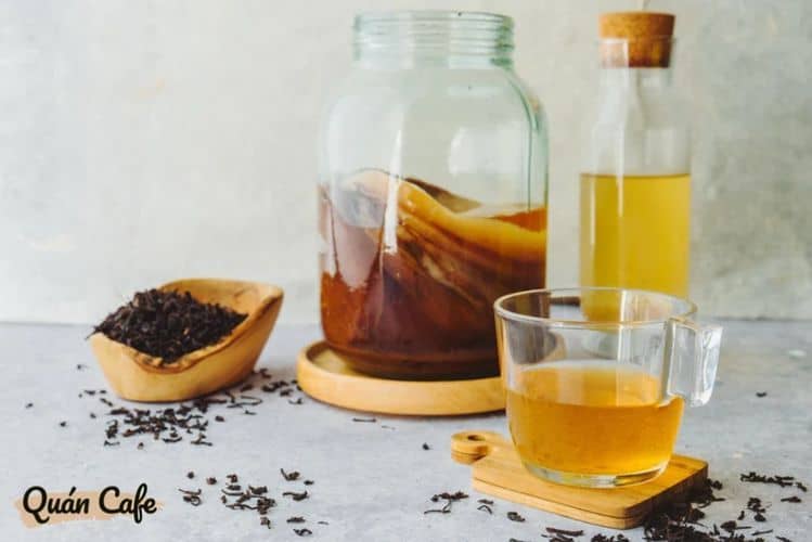 what is kombucha tea? a simple but interesting start-up guide